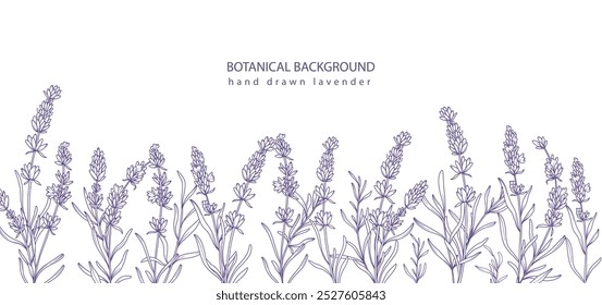 Lavender Line Art. Fondo botánico de moda de lavanda minimalista. Plantilla de fondo de borde floral dibujado a mano. Ilustración de arte de línea floral. Esquema del borde de lavanda. Línea de lujo de arte floral.