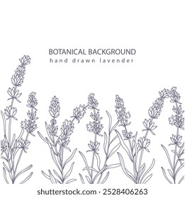 Lavender Line Art. Botanical Background trendy minimalist lavender. Hand drawn floral border background template. Floral Line Art Illustration. Lavender Border Outline. Luxury Line Floral Art.