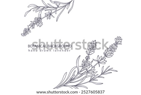 Lavender Line Art. Botanical Background trendy minimalist lavender. Hand drawn floral border background template. Floral Line Art Illustration. Lavender Border Outline. Luxury Line Floral Art.
