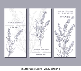 Lavender Line Art. Etiquetas de lavanda. Anuncio orgánico de la tienda. Fondo botánico lavanda minimalista de moda. Plantilla de Anuncio de lavanda. Ilustración de arte de línea floral. 