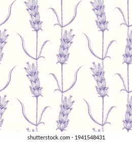 Lavender line art seamless vector pattern background. Hand drawn purple blossoms on stems with leaves on white backdrop. Linear geometric botanical herb vintage design. Nature garden repeat for summer