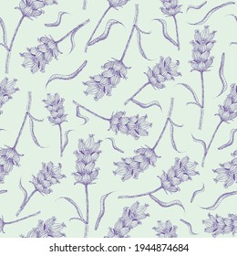 Lavender line art seamless vector pattern background. Duotone lilac pastel green backdrop with blossoms on stems, leaves. Botanical herb vintage design. Nature meadow garden retro all over print