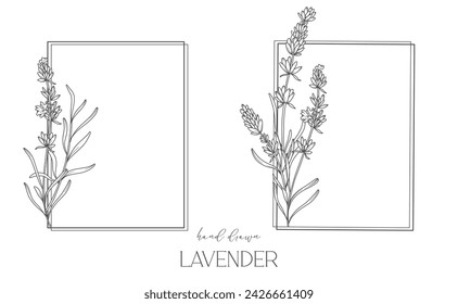 Lavender Line Drawing. Black and white Floral Frames. Floral Line Art. Fine Line Lavender illustration. Hand Drawn Outline flowers. Botanical Coloring Page. Wedding invitation flowers