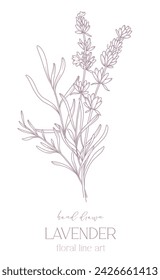 Dibujo de línea de lavanda. Ramos de flores en blanco y negro. Página para colorear flores. Ilustración de la línea fina de la lavanda. Flores dibujadas a mano Coloración Botánica. Invitación de boda flores
