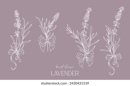 Dibujo de línea de lavanda. Ramos de flores en blanco y negro. Página para colorear flores. Ilustración de la línea fina de la lavanda. Flores dibujadas a mano Coloración Botánica. Invitación de boda flores
