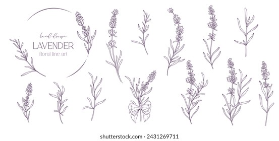 Lavender Line Drawing. Black and white Floral Bouquets. Flower Coloring Page. Floral Line Art. Fine Line Lavender illustration. Hand Drawn flowers. Botanical Coloring. Wedding invitation flowers
