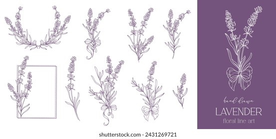 Dibujo de línea de lavanda. Ramos de flores en blanco y negro. Página para colorear flores. Ilustración de la línea fina de la lavanda. Flores dibujadas a mano Coloración Botánica. Invitación de boda flores
