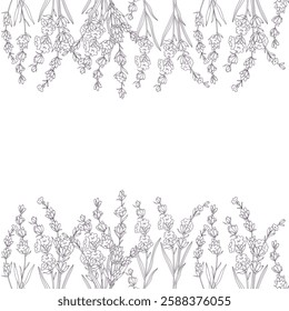 Lavender Line Drawing. Outline Lavender illustration. Hand Drawn lavener. Black and white Flowers. Monochrome Floral Line Art.  Botanical Coloring. Lavender Wedding