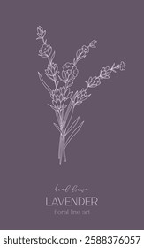 Lavender Line Drawing. Outline Lavender illustration. Hand Drawn lavener. Black and white Flowers. Monochrome Floral Line Art.  Botanical Coloring. Lavender Wedding