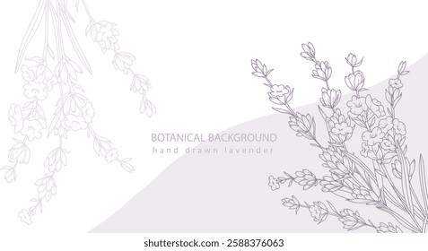 Lavender Line Drawing. Outline Lavender illustration. Hand Drawn lavener. Black and white Flowers. Monochrome Floral Line Art.  Botanical Coloring. Lavender Wedding