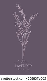 Lavender Line Drawing. Outline Lavender illustration. Hand Drawn lavener. Black and white Flowers. Monochrome Floral Line Art.  Botanical Coloring. Lavender Wedding