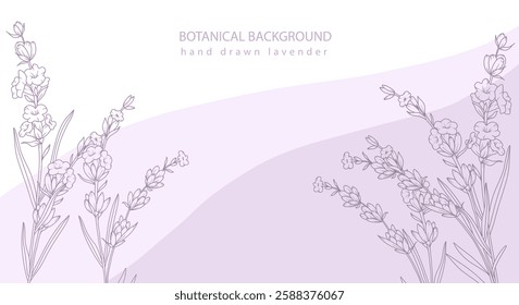 Lavender Line Drawing. Outline Lavender illustration. Hand Drawn lavener. Black and white Flowers. Monochrome Floral Line Art.  Botanical Coloring. Lavender Wedding