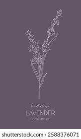 Lavender Line Drawing. Outline Lavender illustration. Hand Drawn lavener. Black and white Flowers. Monochrome Floral Line Art.  Botanical Coloring. Lavender Wedding