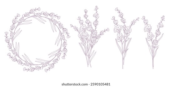 Lavender Line Drawing. Outline Lavender illustration. Hand Drawn lavener. Lavender Wreath. Monochrome Floral Line Art.  Botanical Coloring. Lavender Wedding