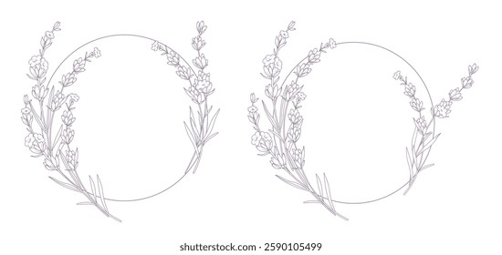 Lavender Line Drawing. Outline Lavender illustration. Hand Drawn lavener. Lavender Wreath. Monochrome Floral Line Art.  Botanical Coloring. Lavender Wedding