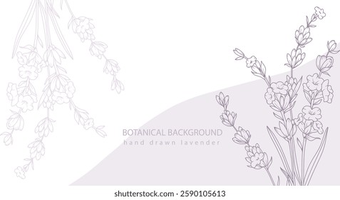 Lavender Line Drawing. Outline Lavender illustration. Hand Drawn lavener. Black and white Flowers. Monochrome Floral Line Art.  Botanical Coloring. Lavender Wedding