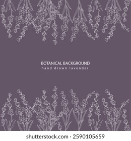 Lavender Line Drawing. Outline Lavender illustration. Hand Drawn lavener. Black and white Flowers. Monochrome Floral Line Art.  Botanical Coloring. Lavender Wedding