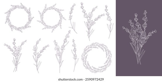 Lavender Line Drawing. Outline Lavender illustration. Hand Drawn lavener. Lavender Labels. Monochrome Floral Line Art.  Botanical Coloring. Lavender Wedding