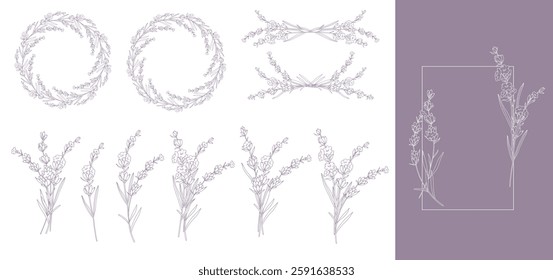 Lavender Line Drawing. Outline Lavender illustration. Hand Drawn lavener. Lavender Labels. Monochrome Floral Line Art.  Botanical Coloring. Lavender Wedding