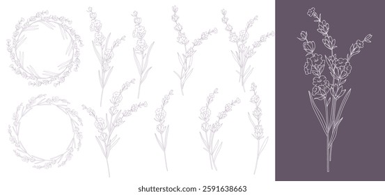 Lavender Line Drawing. Outline Lavender illustration. Hand Drawn lavener. Lavender Labels. Monochrome Floral Line Art.  Botanical Coloring. Lavender Wedding