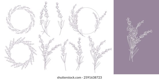 Lavender Line Drawing. Outline Lavender illustration. Hand Drawn lavener. Lavender Labels. Monochrome Floral Line Art.  Botanical Coloring. Lavender Wedding