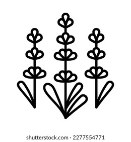 Lavender line icon. Lavandula herb sign. Flowering plant long thin stem, aromatic shrub. Medicinal plant icon in minimalist style. Editable strokes for aroma goods, herbal shop, fragrance production