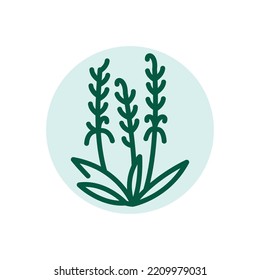 Icono с línea de color de lavanda. Pictograma para página web.