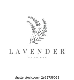 Lavender logo with beautiful and simple minimalist lavender flower plants with a line template concept of flower symbols