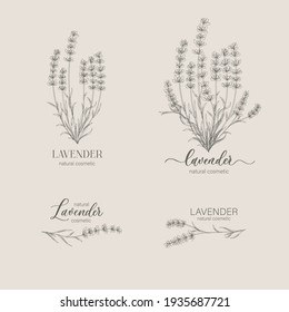 Lavender logo and branch. Hand drawn wedding herb, plant and monogram for invitation, save the date, card design. Botanical rustic trendy greenery vector illustration.