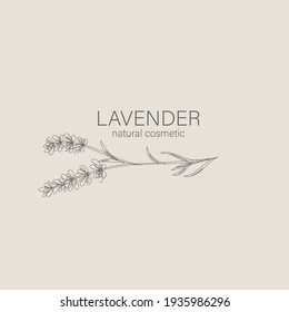 Logo et branche du prêteur. Herbe de mariage dessinée à la main, plante et monogramme pour invitation, enregistrer la date, la conception de la carte. Illustration vectorielle botanique rustique et tendance.