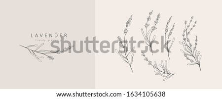 Lavender logo and branch. Hand drawn wedding herb, plant and monogram with elegant leaves for invitation save the date card design. Botanical rustic trendy greenery vector illustration Сток-фото © 