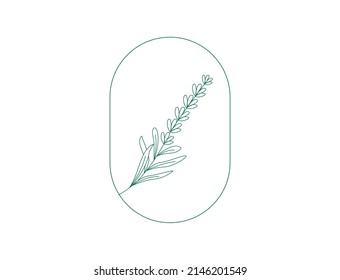 Lavender logo and branch. Hand-drawn wedding herb, plant, and monogram with elegant leaves. line art vector illustration 