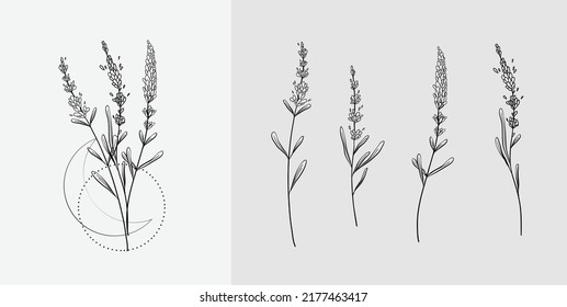 Logo de lavanda y branchin en línea. Hierba de bodas, planta y monograma dibujados a mano con hojas elegantes para invitación ahorran el diseño de la tarjeta de fecha. Verdor botánico de moda