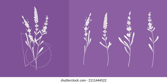 Lavender logo and branchin silhouette style. Hand drawn wedding herb, plant and monogram with elegant leaves for invitation save the date card design. Botanical rustic