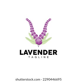 Lavender Logo, Hand Drawn Wedding Plant Design, Agriculture Vector, Symbol Illustration Template Icon