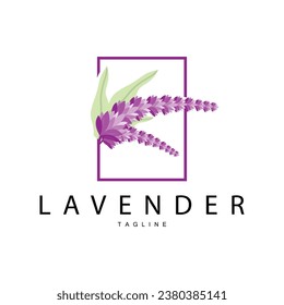 Logo de Lavanda, Diseño de Planta de Boda de Mano, Diseño de Ilustración de Perfume de Lavanda Vectora