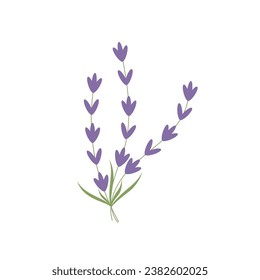 Lavender logo icon isolated vector illustration on white background.
