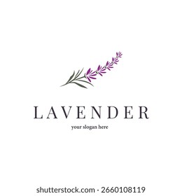 Logotipo de lavanda, Simples vetor de planta de flor roxa elegante, Projeto de cartão de saudação, Banner, Ornamento de flor, Casamento desenhado à mão lavanda, Ilustração de símbolo de ícone