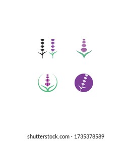 Lavender logo template vector icon design