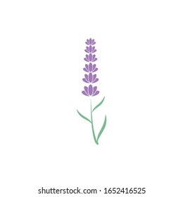 Naturaleza del símbolo vectorial de la plantilla de logotipo de lavanda