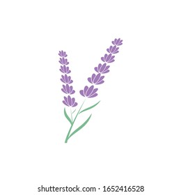 Lavender Logo Template vector symbol nature