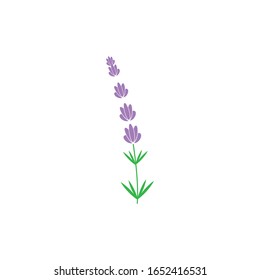 Lavender Logo Template vector symbol nature