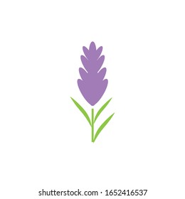 Lavender Logo Template vector symbol nature