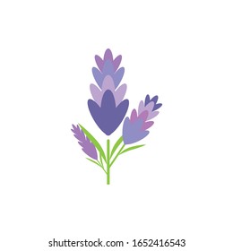 Vektorillustration für Lavendel-Logo-Vorlage