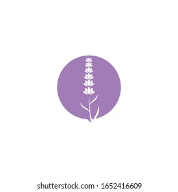 Naturaleza del símbolo vectorial de la plantilla de logotipo de lavanda
