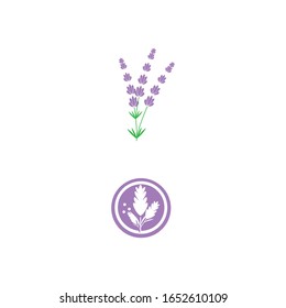 Vektorillustration für Lavendel-Logo-Vorlage