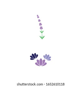 Lavender Logo Template vector symbol nature