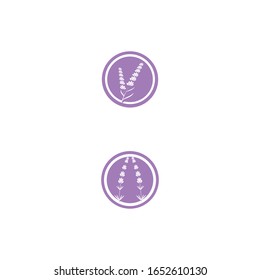 Vektorillustration für Lavendel-Logo-Vorlage