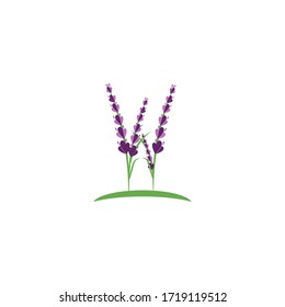 Naturaleza del símbolo vectorial de la plantilla de logotipo de lavanda