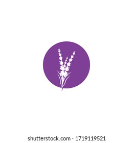 Lavender Logo Template vector symbol nature
